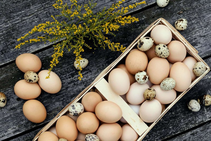 Куриные и перепелиные яйца в корзине