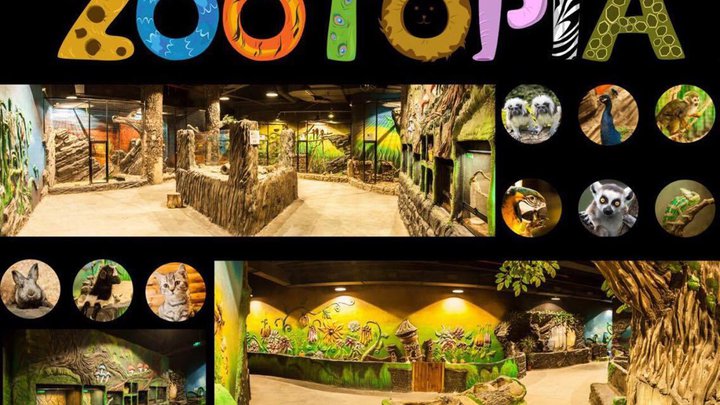 Контактный зоопарк "Zootopia"