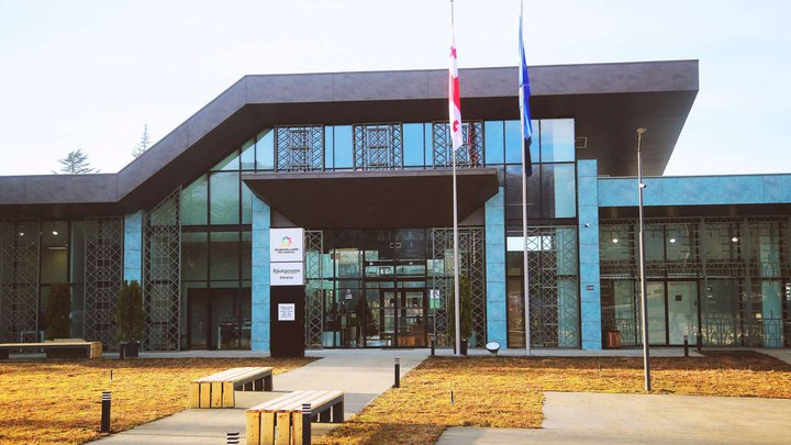 Public Service Hall in Martvili