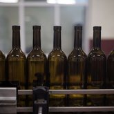 Bolero & Company Group