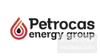 Поставщик авиационного топлива "Petrocas Fuel Services Georgia" логотип