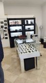ოპტიკური ვივიენი