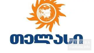 Компания энергетического сектора и столичная электрораспределительная сеть "Теласи" логотип