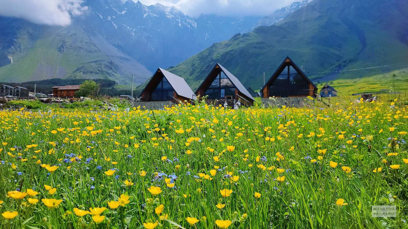 Живописный вид на Деревянные шале "Kera Cottages Kazbegi" в Степанцминде