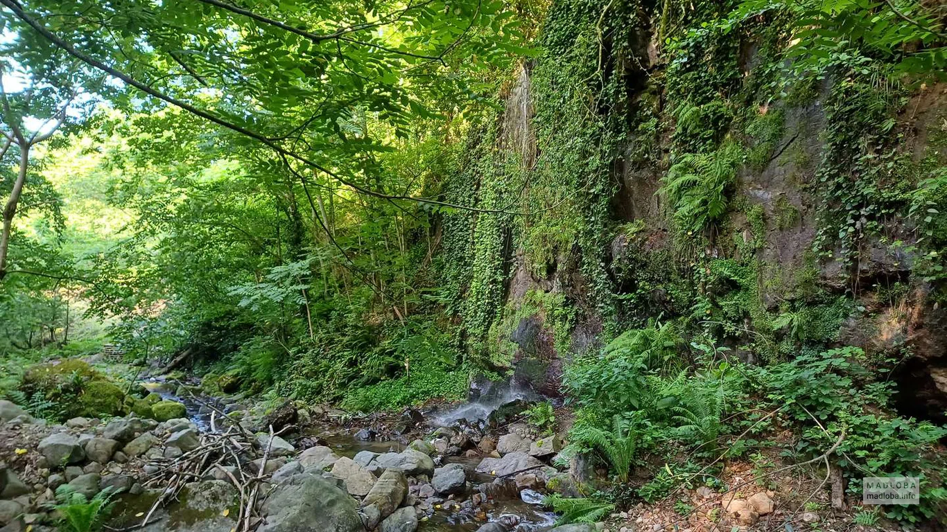 Дорога к Кошкиному водопаду