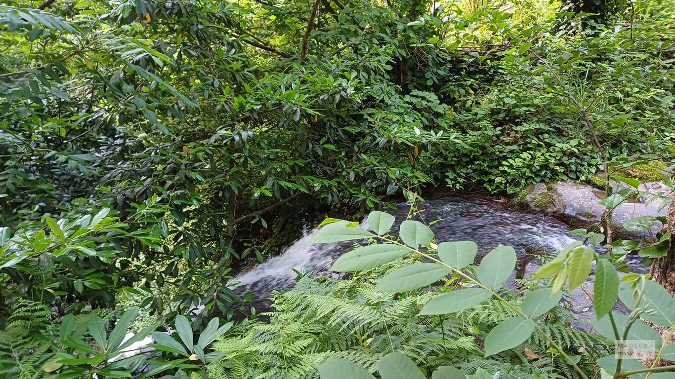Дорога к Кошкиному водопаду