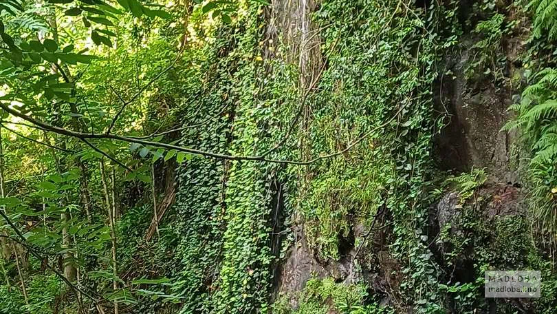 Дорога к Кошкиному водопаду