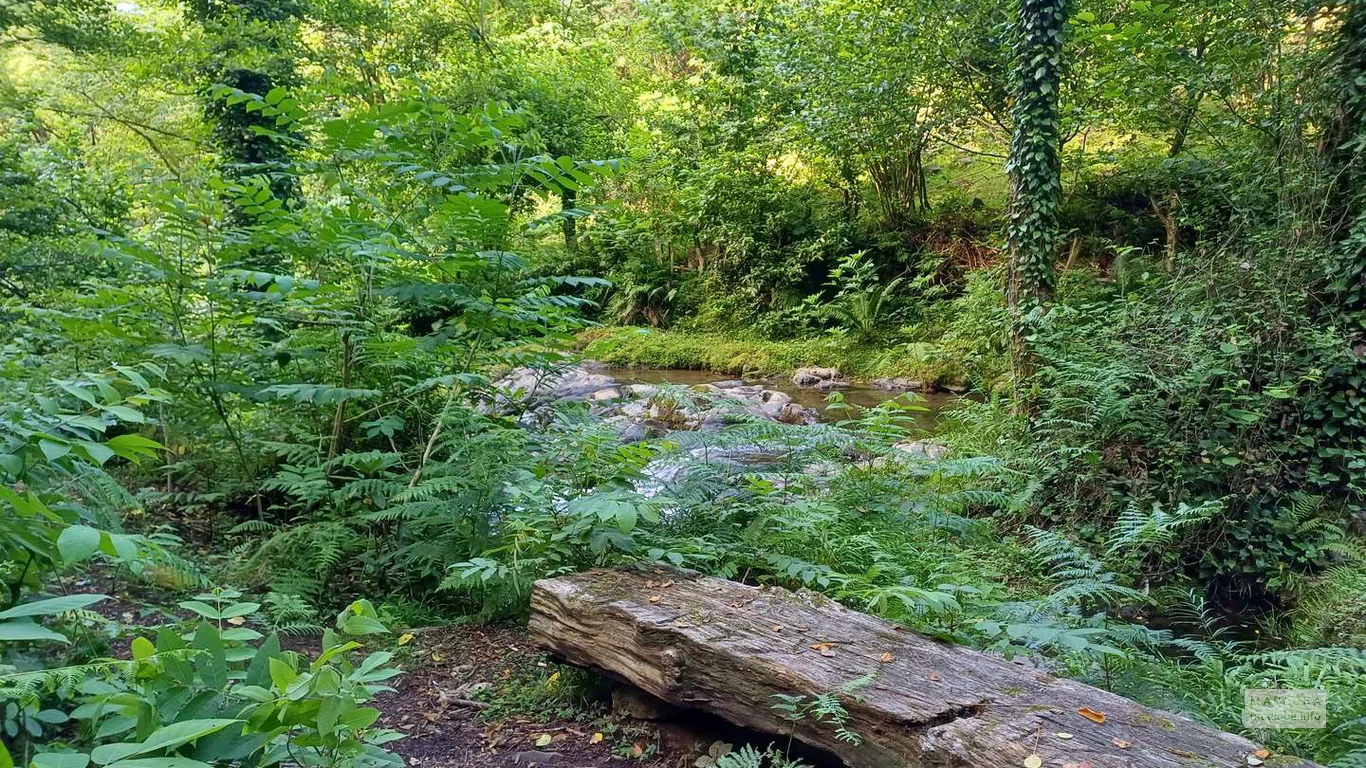 Дорога к Кошкиному водопаду в Аджарии