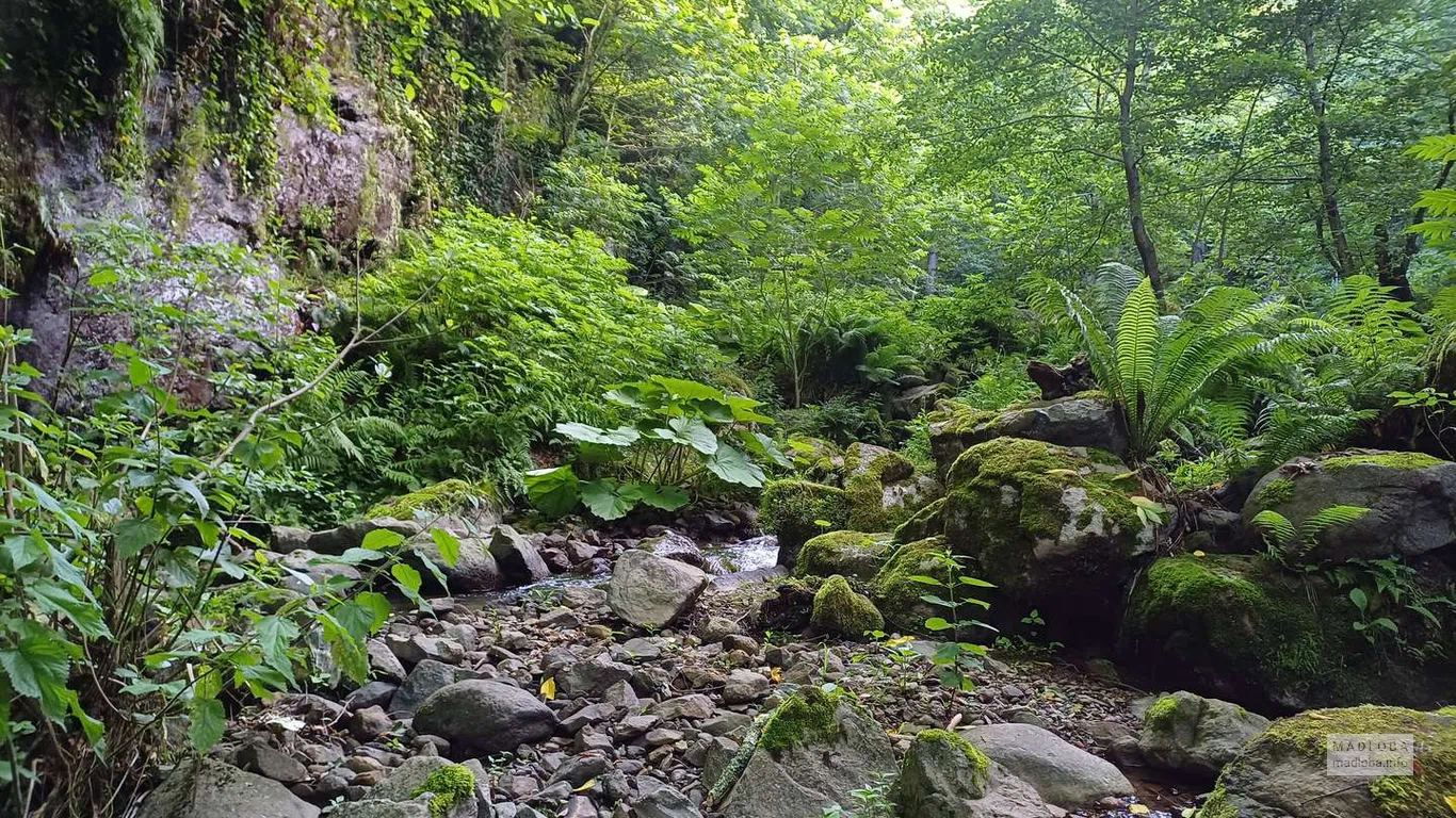 Дорога к Кошкиному водопаду
