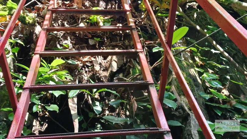 Подъем к водопаду Скала