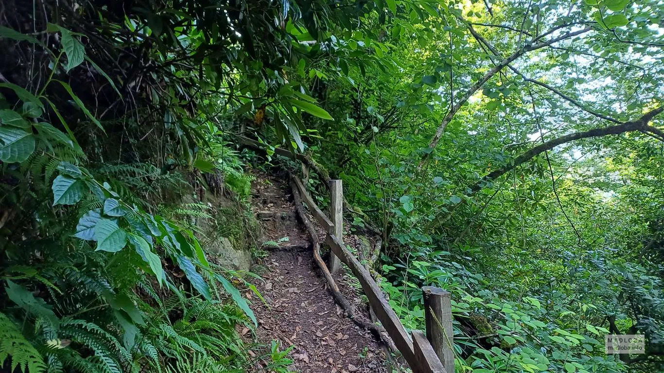 Дорога к водопаду Скала