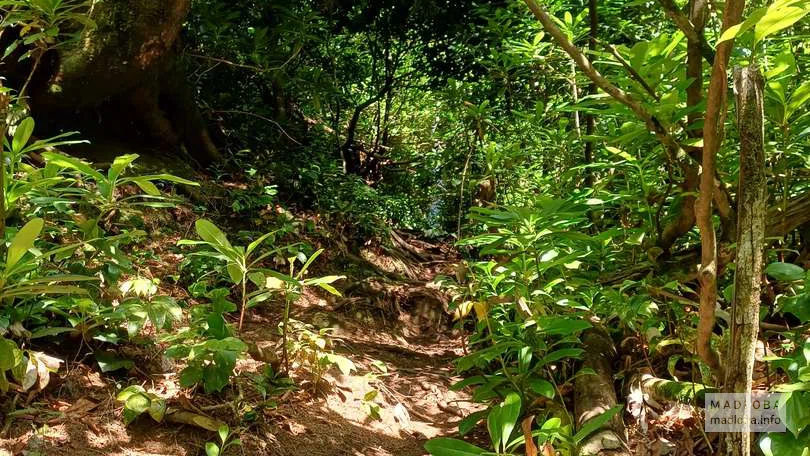 Дорога к водопаду Скала