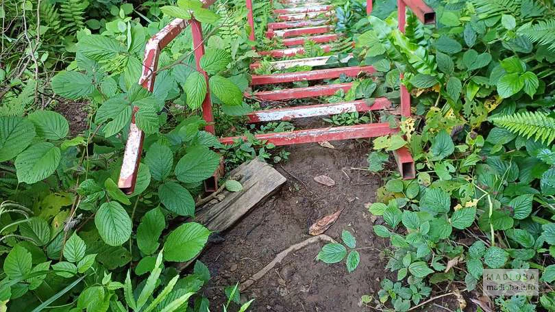 Дорога к водопаду Скала