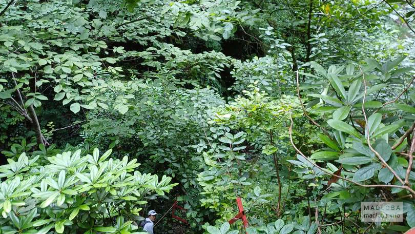 Дорога к водопаду Скала