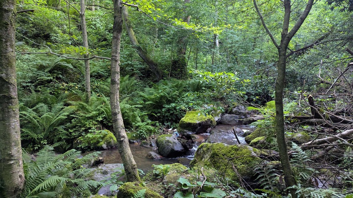 Водопады Капнистави