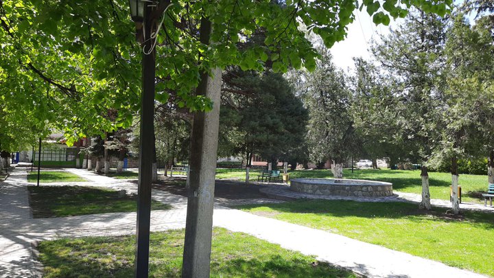 Bidzina Cholokashvili's garden