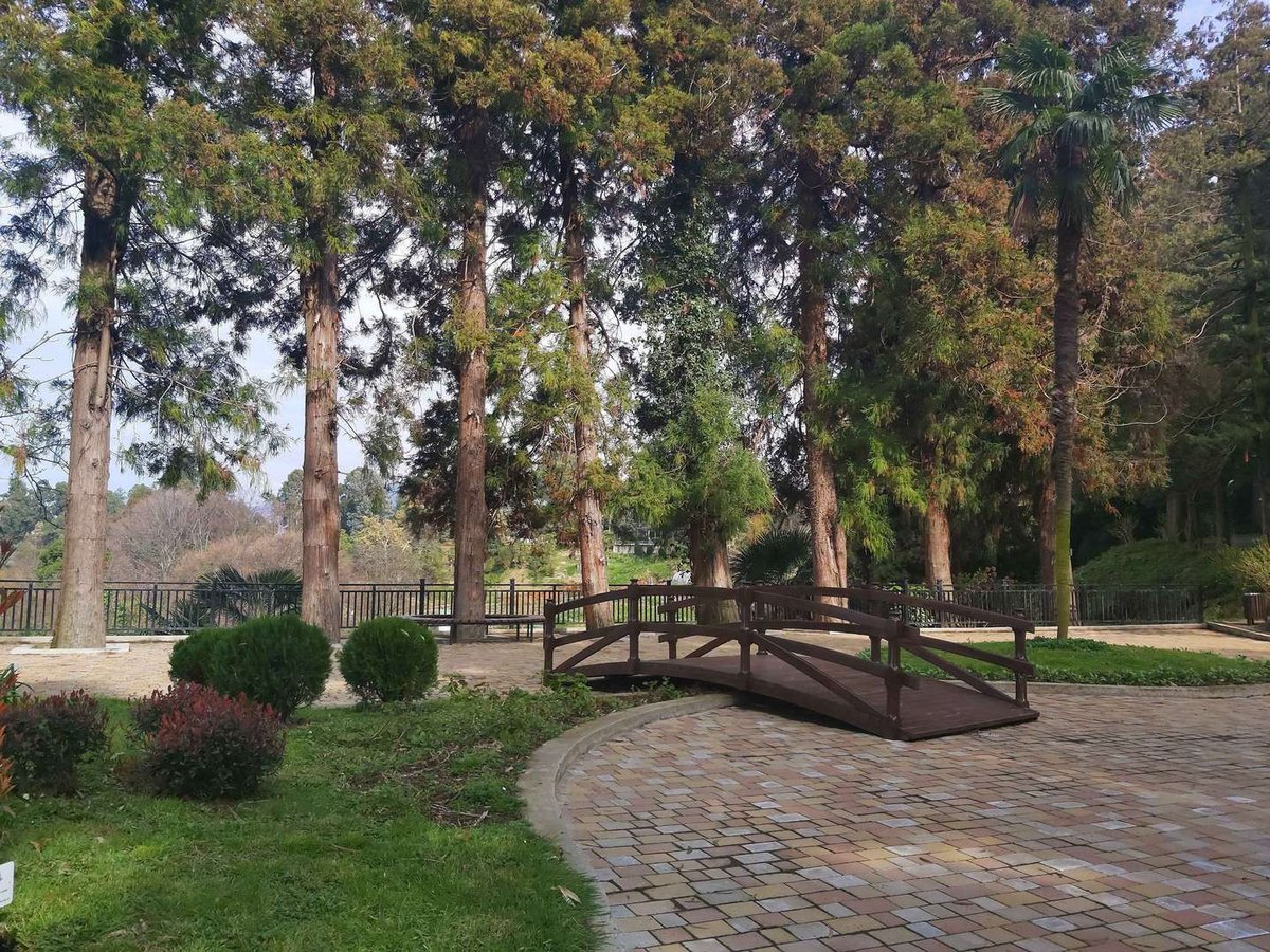 Mostiki-v-Botanicheskom-sadu
