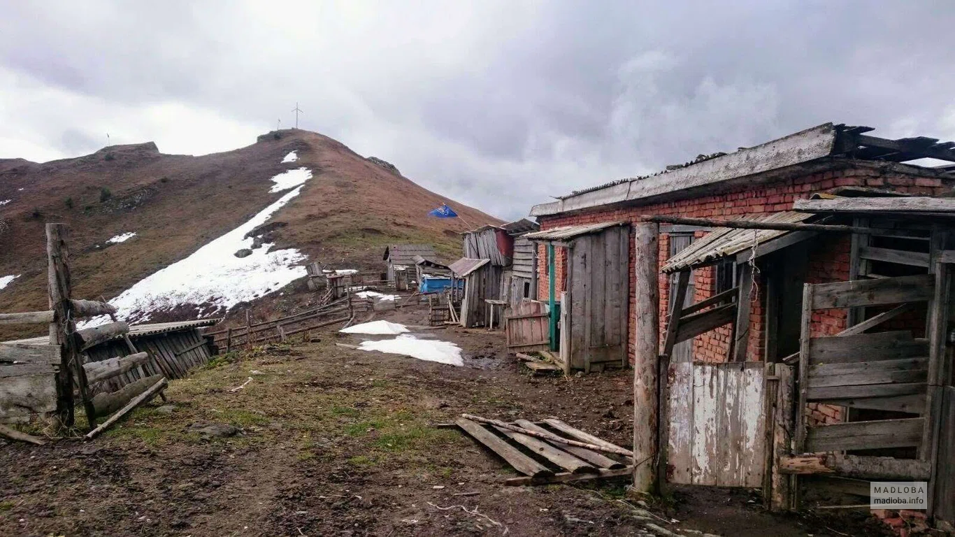 Leo's Homestay в Боржоми