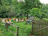 ჯიხეთის დედათა მონასტერი
