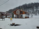 Borjomi Bridge