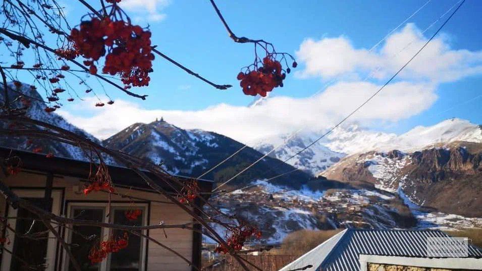 Живописный вид на Отель "Mountain Hut"  в Степанцминде