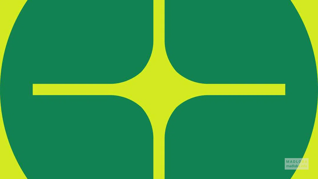 Сеть автозаправочных станций "Wissol Petroleum Georgia" логотип