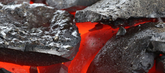 Steel International Trading Company