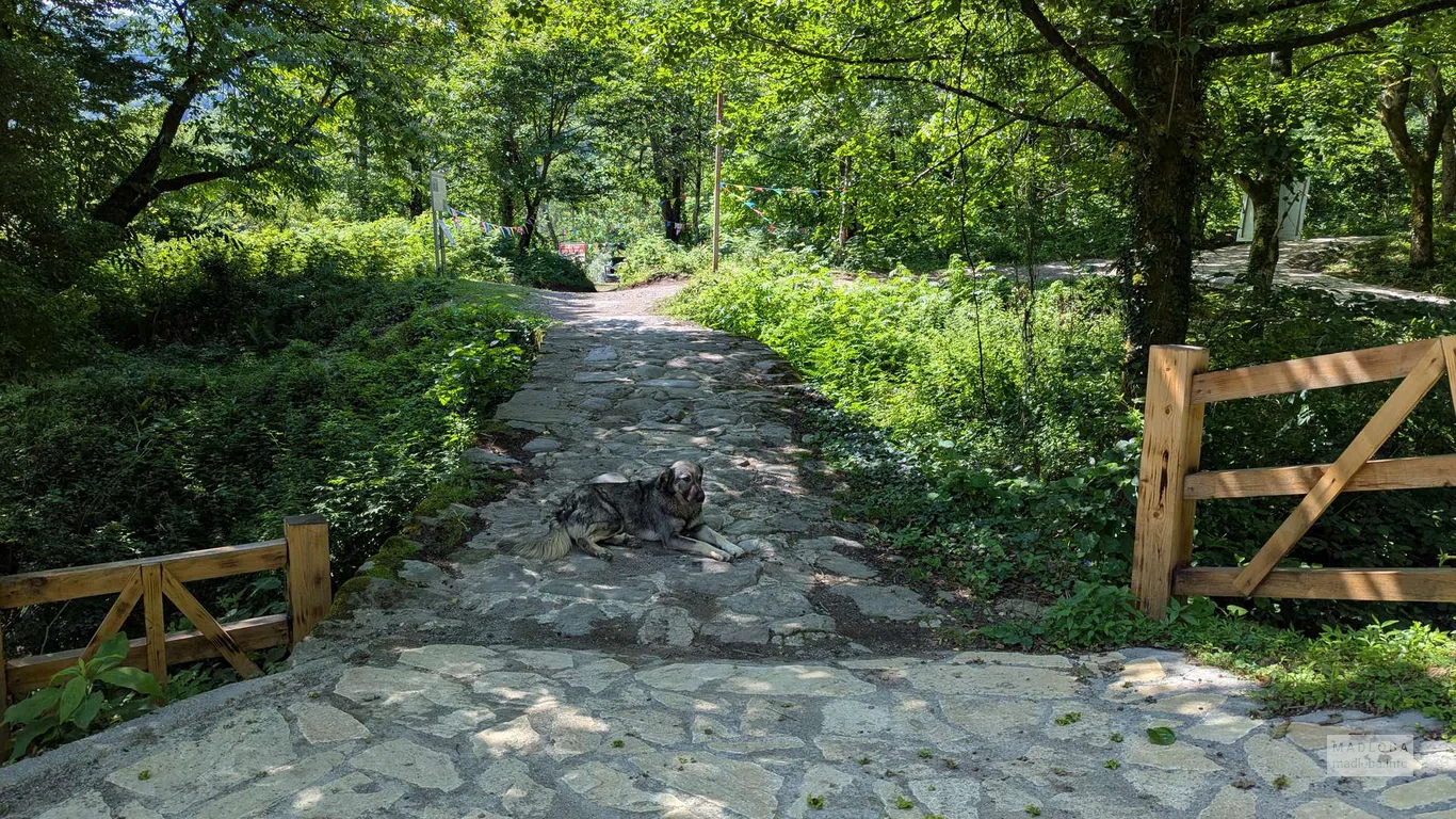 Мирветский арочный мост, Аджария, Грузия