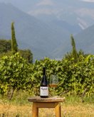 Georgian Beveridge Holding