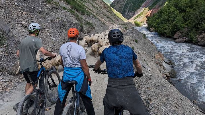 Electride - Tours in Kazbegi