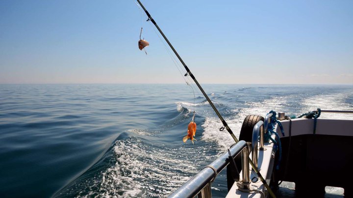 Fishing in Batumi