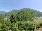 გვარას ციხე