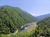 გვარას ციხე
