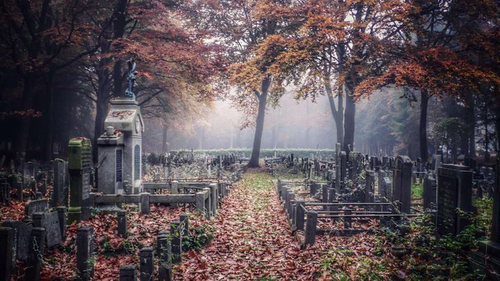 Jewish cemetery Senaki