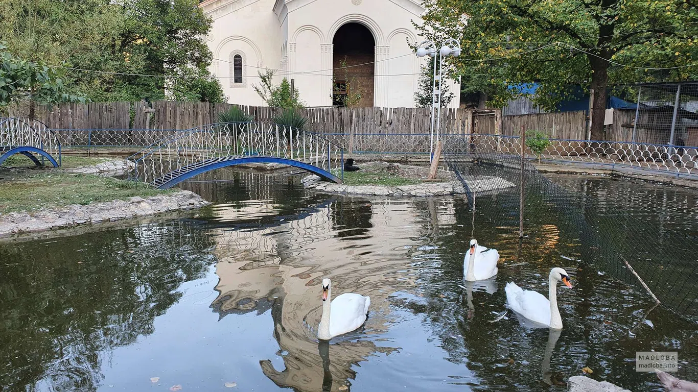 Водные объекты Центрального парка в Чиатуре