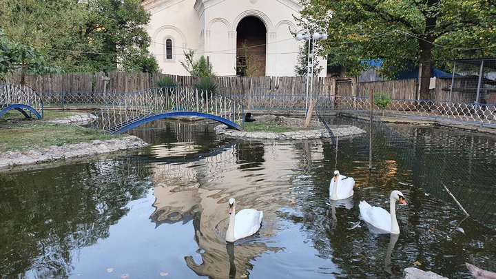 Центральный парк Чиатуры