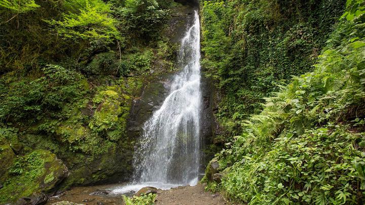 Three mandatory national Parks in Georgia