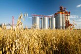 Agro Trading