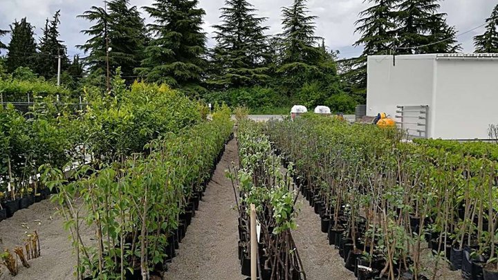 Поставщики сельскохозяйственной техники, оборудования и приборов "Agronet"