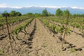 Agrotechnologies