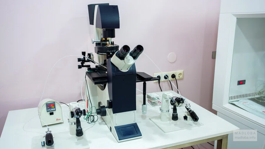 Микроскоп в Центре суррогатного материнства в Грузии