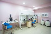 Stork Service is a surrogacy agency in Georgia