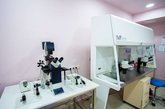 Stork Service is a surrogacy agency in Georgia