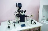 Stork Service is a surrogacy agency in Georgia