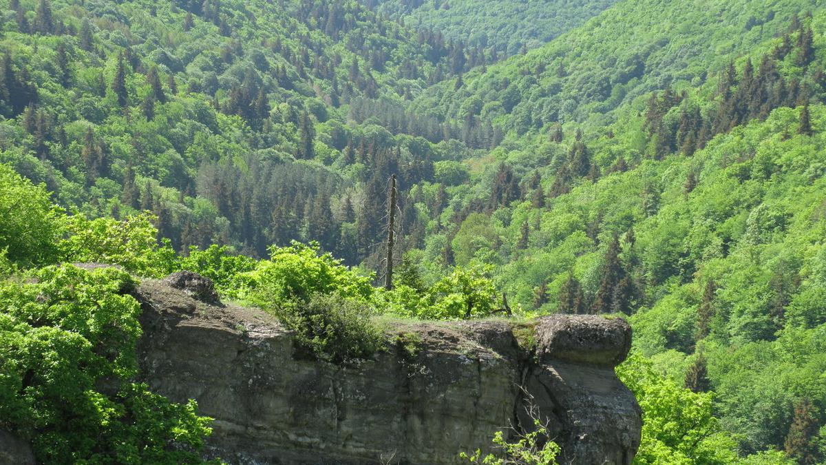 Национальные парки Грузии