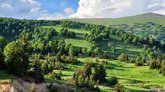გოდერძის ალპური ბაღი