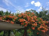 Holiday Home Сhiora