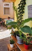 Hotel Bereka