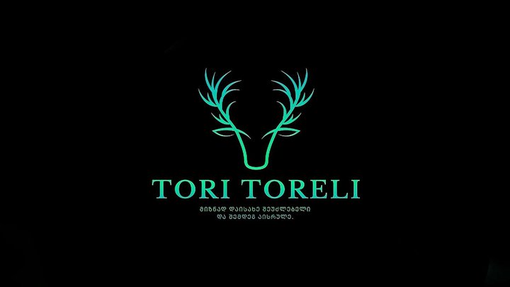 Art laboratory Toreli