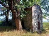 Artana Ghvtismshobeli, Artana